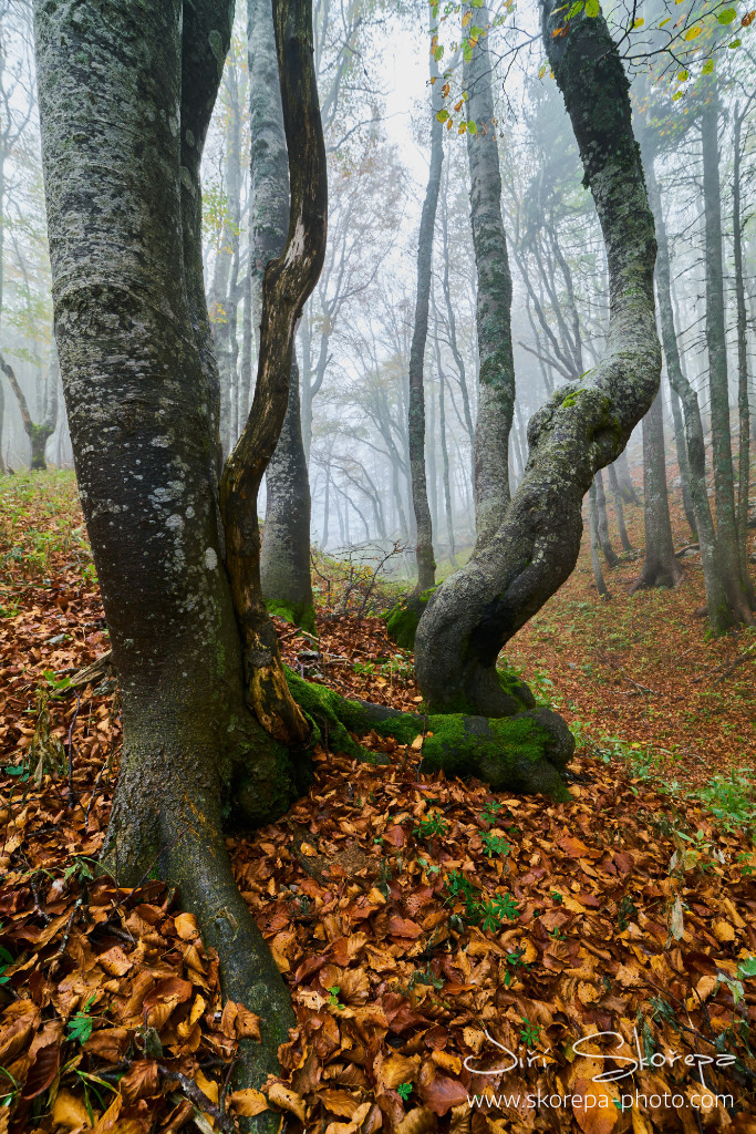 Premužićeva staza – Sjeverni Velebit, Croatia