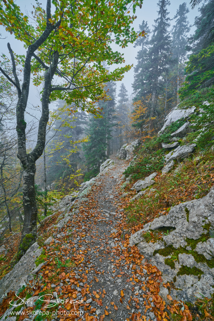 Premužićeva staza – Sjeverni Velebit, Croatia