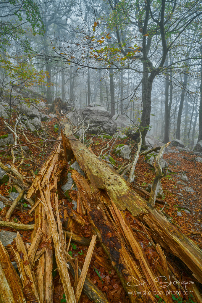 Premužićeva staza – Sjeverni Velebit, Croatia