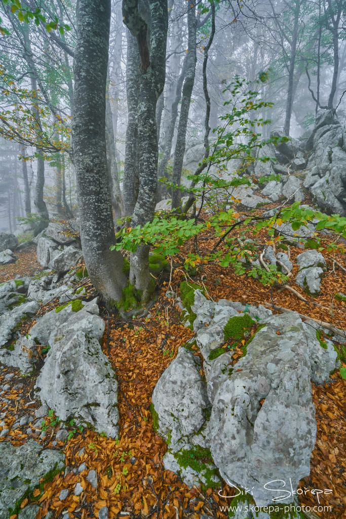 Premužićeva staza – Sjeverni Velebit, Croatia