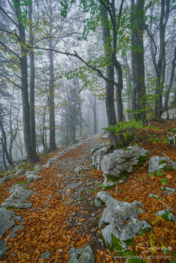 Premužićeva staza – Sjeverni Velebit, Croatia