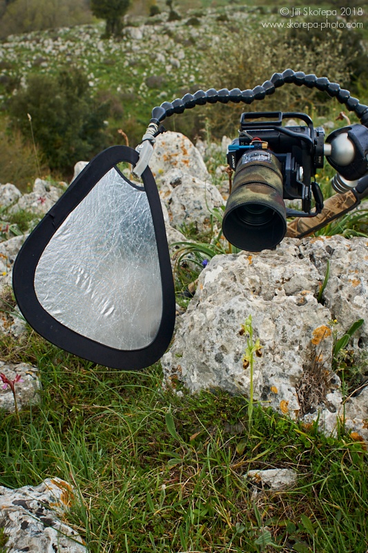 Rozmístění scény při fotografování tořiče mezi vápencovými skalkami